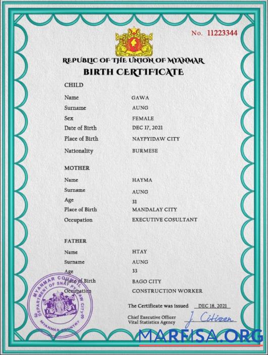 Blank Myanmar vital record birth certificate PSD template
